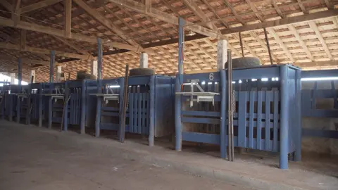 Prática de campo
